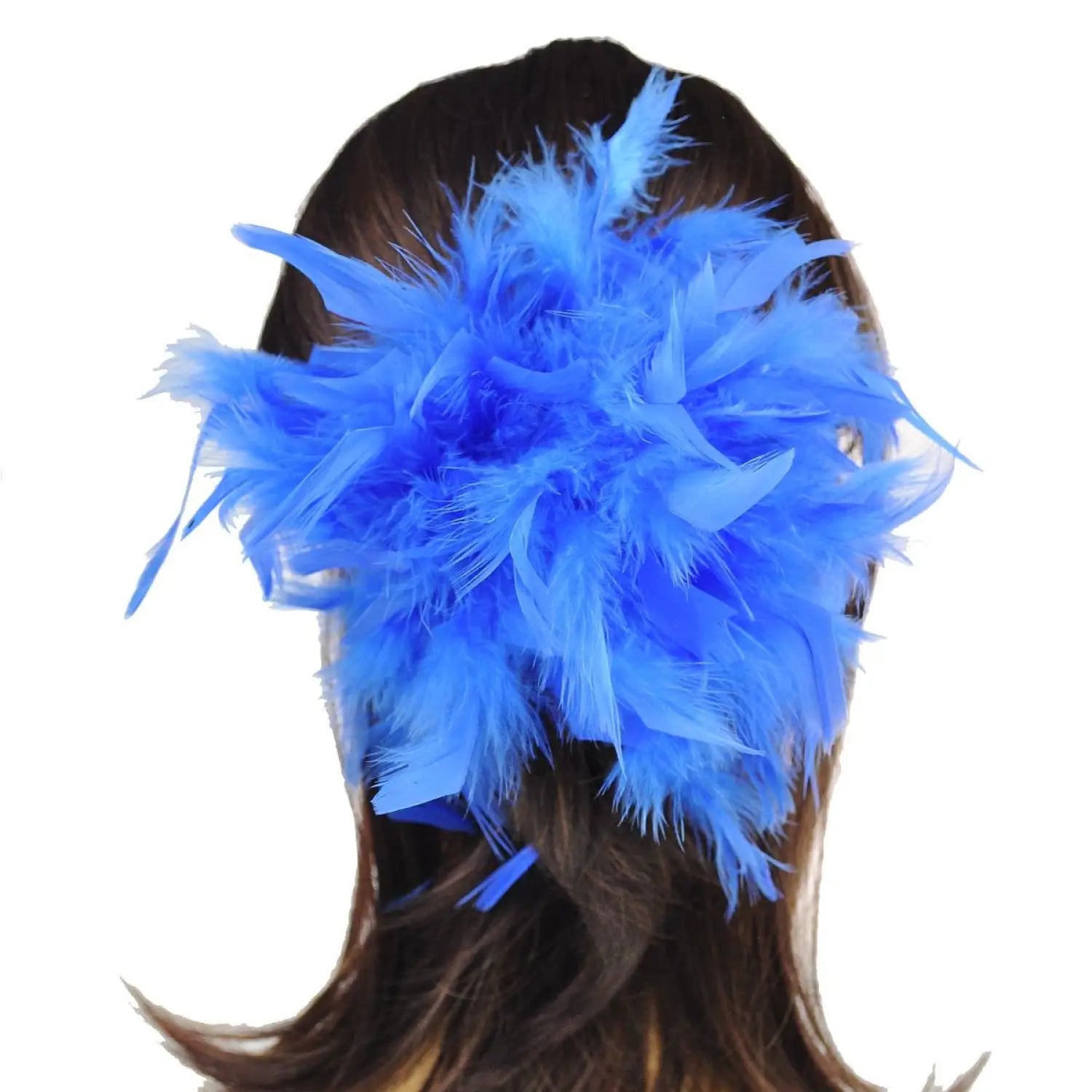 Feather Hair Scrunchie: Woman with Long Hair in Blue Headband