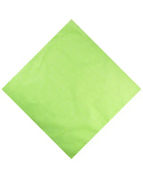 Green cotton bandana on white background.