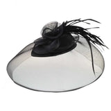 Black hat with large feather - Rose Mesh & Feather Net Fascinator