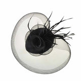 Rose Mesh & Feather Net Fascinator - Elegant Black and White Hat